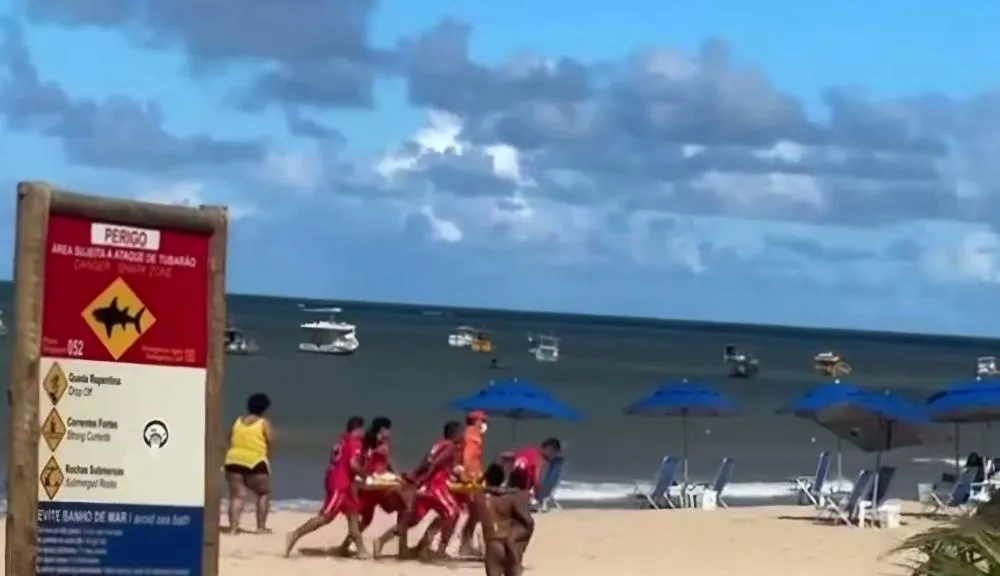 Criança é atacada por tubarão na Praia de Piedade neste domingo e volta a gerar alerta no litoral pernambucano